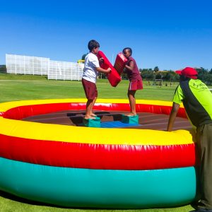 GLADIATOR DUEL STICKS